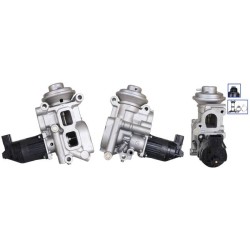 EXCHANGE EGR VALVE