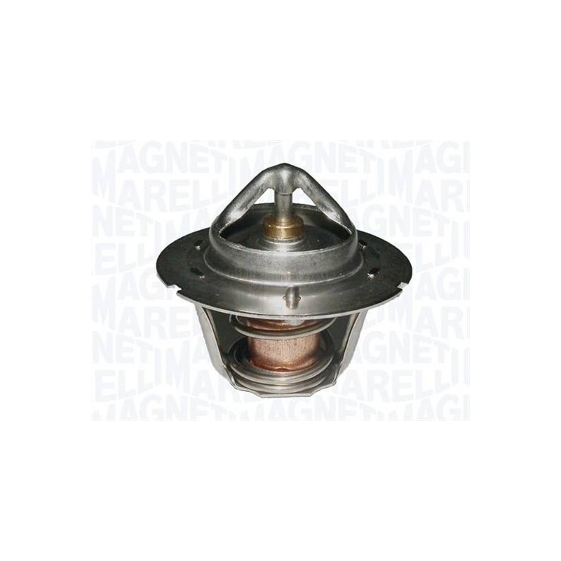 THERMOSTAT POUR MINI R50/R53