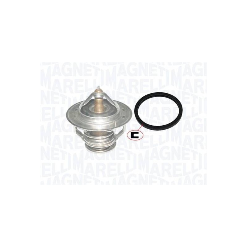 THERMOSTAT POUR HYUNDAI SANTA FE I