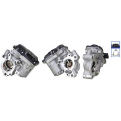 EXCHANGE EGR VALVE